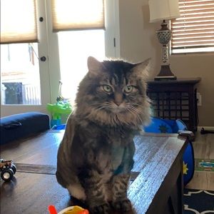 Meet your Posher, Paul